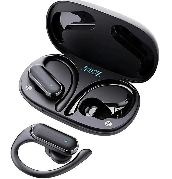 Earphones
